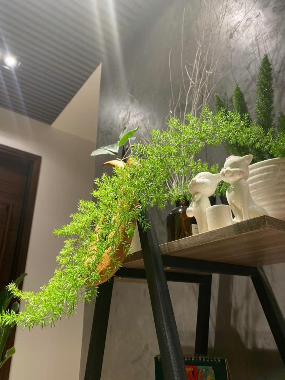 Ekehaus Da Lat Hotel Khu Chi Lăng Kültér fotó